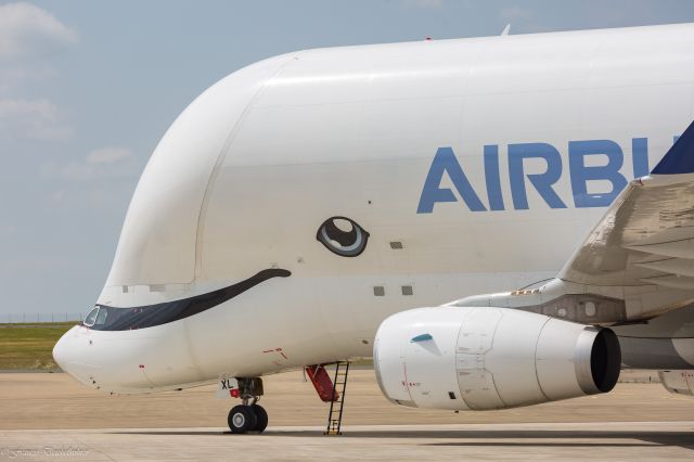 AIRBUS A-330-700 Beluga XL (F-WBXL)