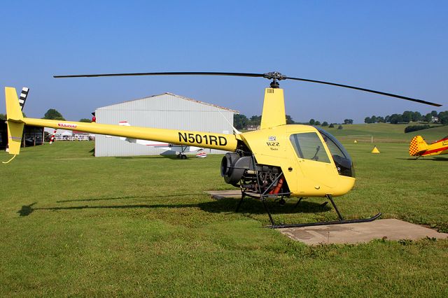 Robinson R-22 (N501RD)