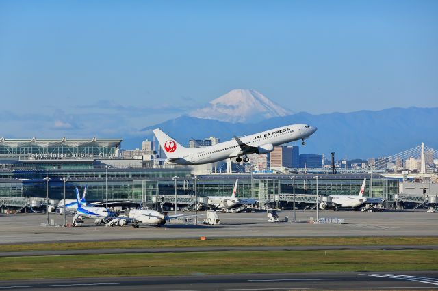 Boeing 737-800 (JA347J)