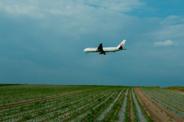 BOEING 767-300 (JA656J)