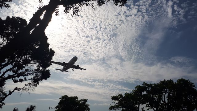 Airbus A320 — - APPROACH KLAX 24R