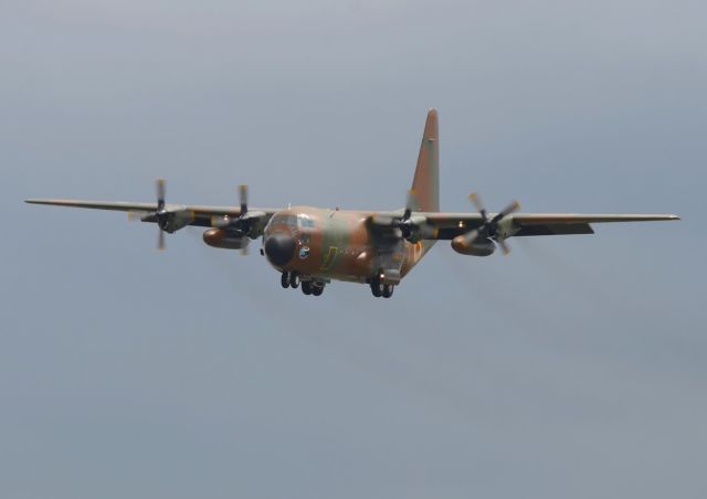 Lockheed C-130 Hercules (TJ-XCD) - 29052014