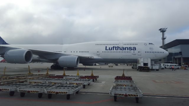 BOEING 747-8 (D-ABYS) - FROM THE TARMAC