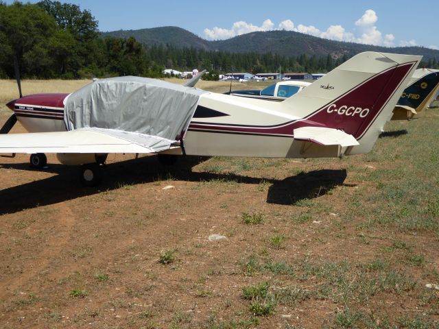 BELLANCA Viking (C-GCPO) - 2015 Bellanca-Champion Club Fly-In - Columbia, CA