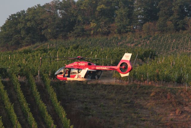 D-HXFE — - Rescue helicopter during an emergency in vineyards at Steinheim on Murr, Germany, 11th September 2022, 7 PM