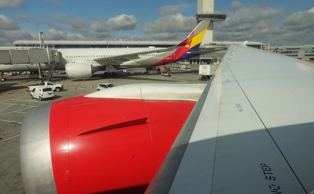 Boeing 787-8 (5Y-KZG) - Wing Flex with an Asiana A350 right next to us.