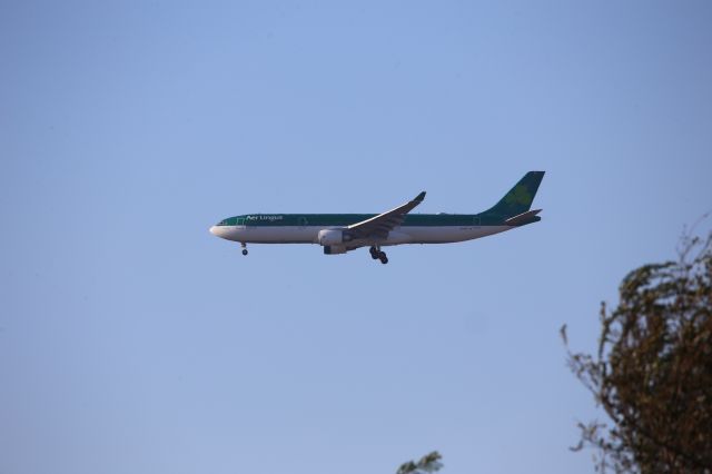 Airbus A330-300 (EI-GCF)