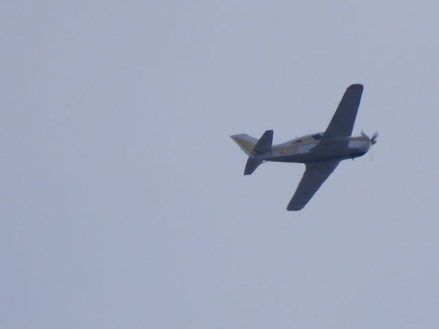 BELLANCA Viking (N14SF)
