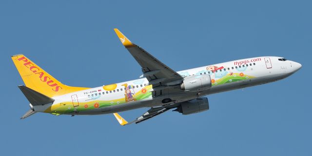 Boeing 737-800 (TC-CPN)