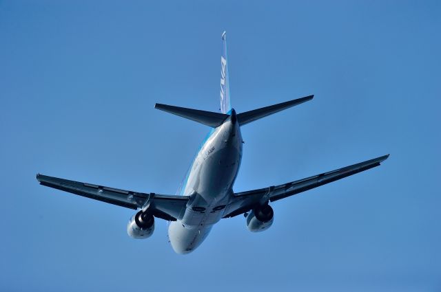 Boeing 737-500 (JA304K)