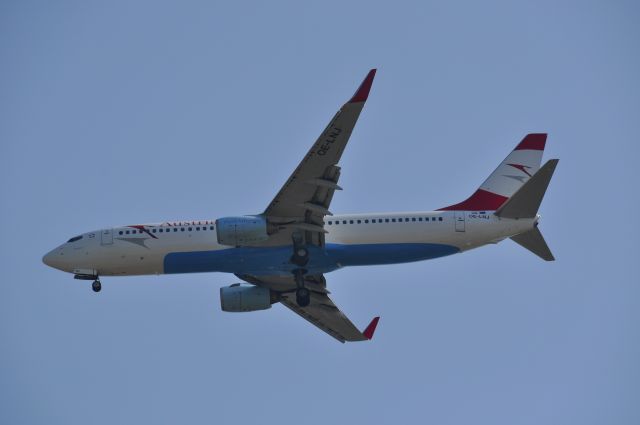 Boeing 737-800 (OE-LNJ) - Austrian Airlines Boeing 737-8Z9(WL) OE-LNJ approaching Split