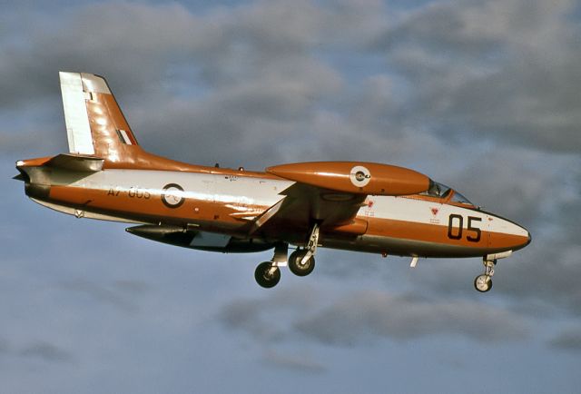 A7005 — - AUSTRALIA - AIR FORCE - COMMONWEALTH CA-30 (MB-326H) - REG A7-005 (CN CA30-005) - EDINBURGH RAAF BASE ADELAIDE SA., AUSTRALIA - YPED (4/10/1984)