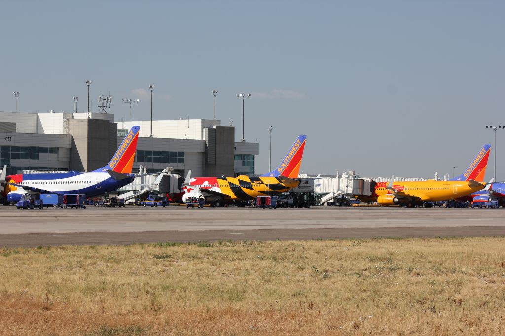 Boeing 737-700 (N230WN) - Rare sight. 3 Southwest 737s showing state flags for Colorado, Maryland and New Mexico. Parked on the north side of concourse C on 8-26-12 at DIA.