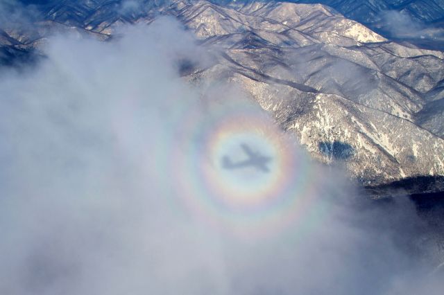 De Havilland Canada Twin Otter (RA-67284) - Gloria is an optical phenomenon in the clouds, which is explained by diffraction of light previously reflected in the droplets of the cloud so that it returns from the cloud in same direction in which it fell, that is, to observer. Flight from Terney to Svetlaya.