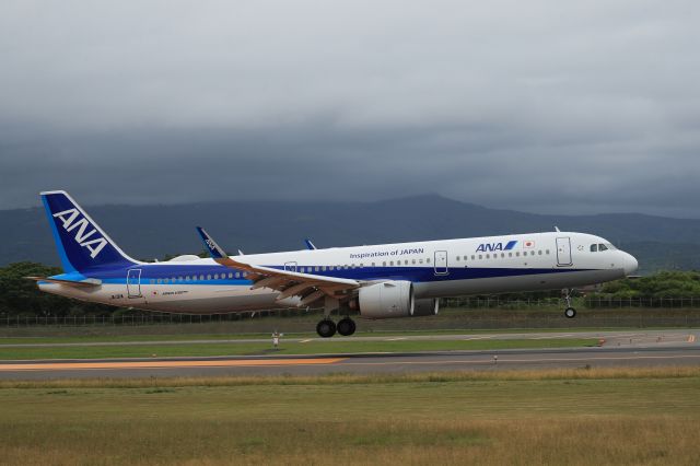 Airbus A321 (JA131A) - July 13th 2019:HND-HKD.