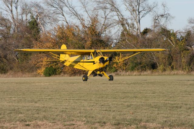 Piper L-21 Super Cub (N87773)