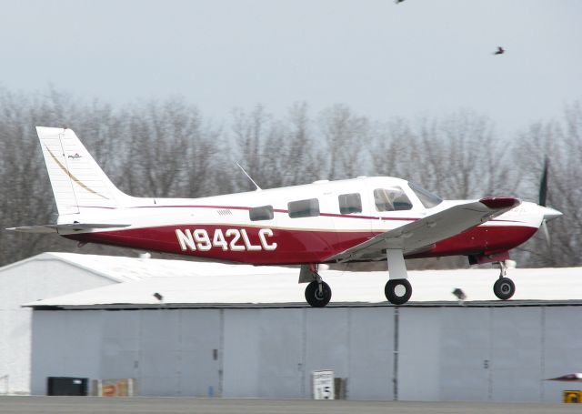 Piper Saratoga (N942LC) - Landing on runway 14 at the Downtown Shreveport airport. I dont know how this aircraft missed the 25 to 30 birds at the end of the runway on this day but it was by just a few inches!!!