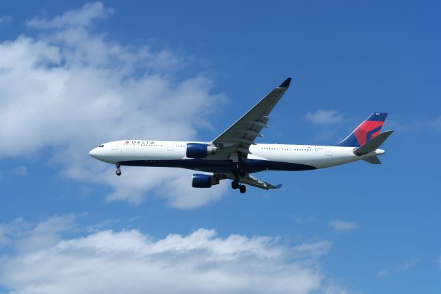 Airbus A330-300 (N811NW) - Delta A330 coming in from Amsterdam.