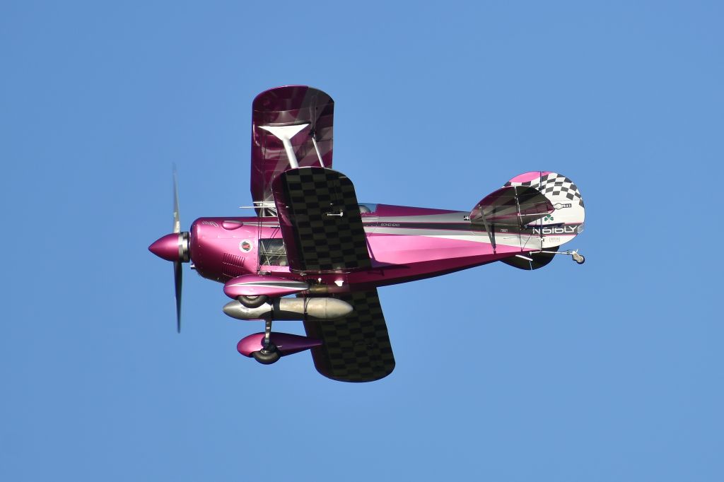 PITTS Special (S-1) (N616LY)