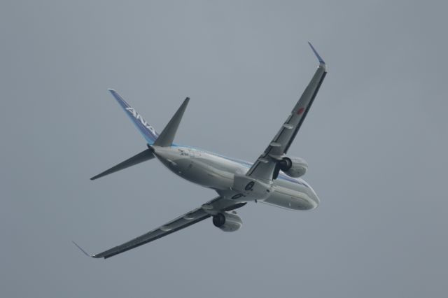 Boeing 737-800 (JA71AN) - 11 April 2016:HKD-HND.