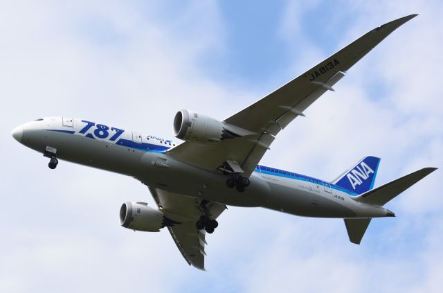 Boeing 787-8 (JA813A)