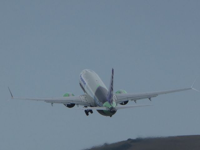 Boeing 737-700 (C-FLHI) - Gold Coast bound Bonza