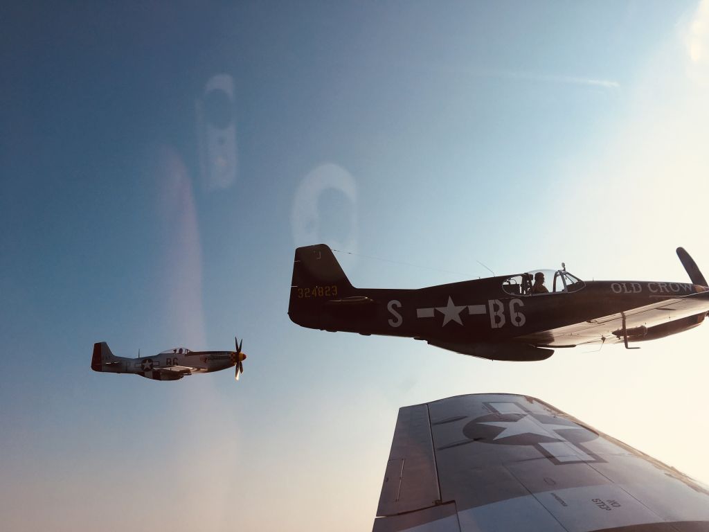 North American P-51 Mustang (N451MG)