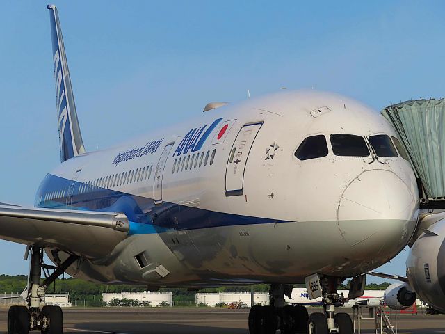 Boeing 787-8 (JA835A) - I took this picture on May 24, 2020.