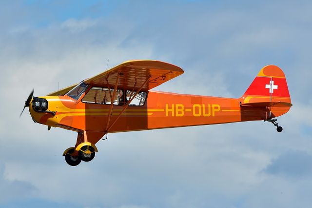 Piper L-21 Super Cub (HB-OUP) - L-4J Grasshopper (J3C-65D)   (08-05-2017)