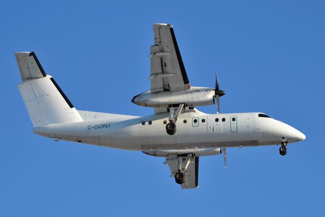 C-GONJ — - Recent addition to the fleet in Nov of 2020.