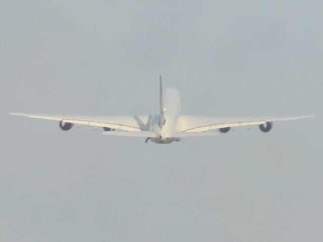 Airbus A380-800 (D-AIML)