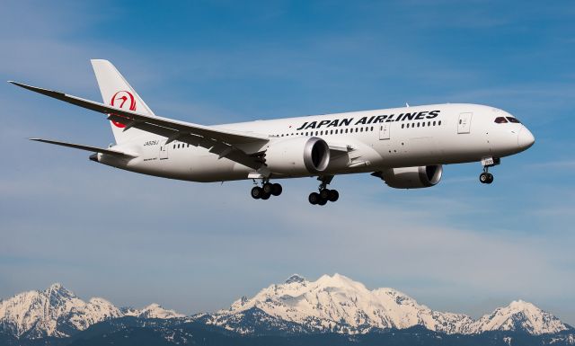 JA822J — - JAL