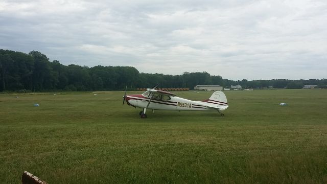 Cessna 170 (N9531A)