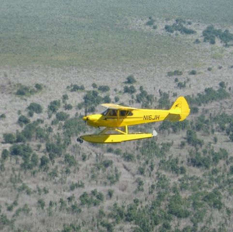 Piper L-21 Super Cub (N16JH)