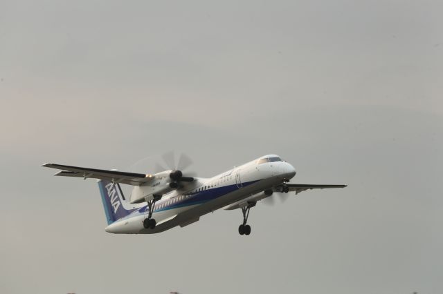 de Havilland Dash 8-400 (JA845A) - 14 June 2015:HKD-CTS.