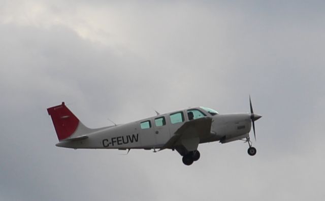 Beechcraft Bonanza (36) (C-FEUW)