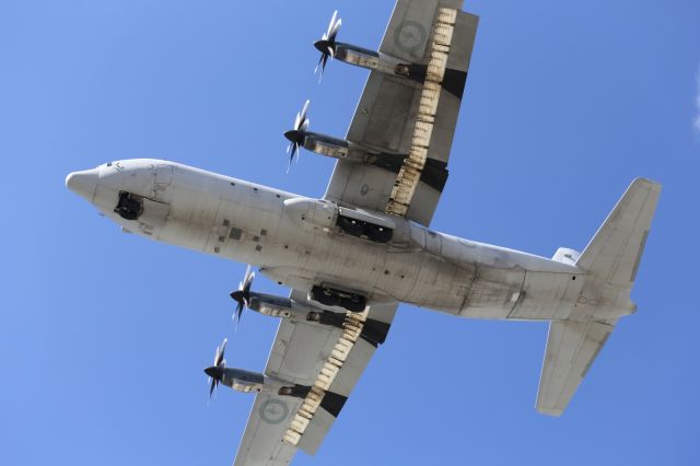 Lockheed C-130 Hercules — - RAAF C-130J on short finals into YBTL.