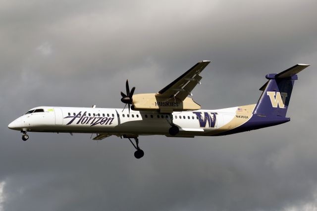 N435QX — - Sporting University of Washington colors