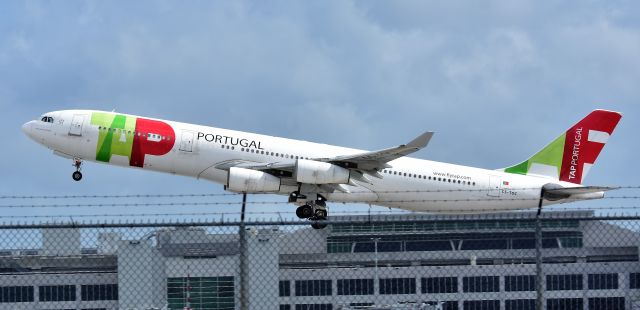 Airbus A340-300 (CS-TOC)