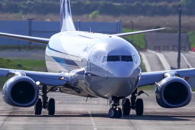 Boeing 737-800 (JA71AN)