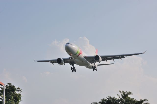 Airbus A330-200 (CS-TOL) - At the End of Runway 06, TAP Landing