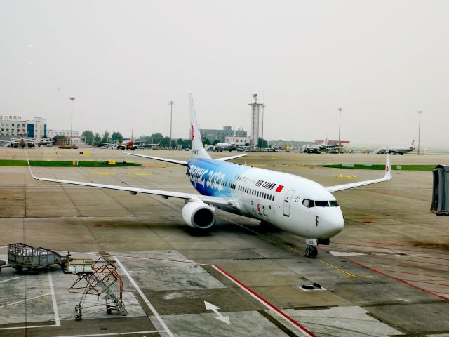 Boeing 737-800 (B-5425) - Beijing Winter Olympics Theme Painted Aircraft B-5425