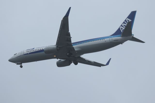 Boeing 737-800 (JA81AN) - 3 April 2015: