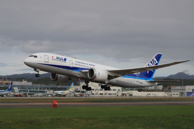 Boeing 787-8 (JA812A) - October 5th 2019:HKD-HND.