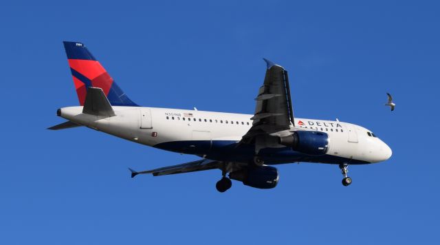 Airbus A319 (N301NB)