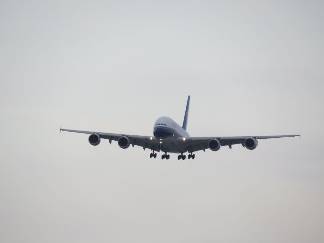 Airbus A380-800 (B-6139) - B-6139 on final approach to Runway 24L at KLAX.