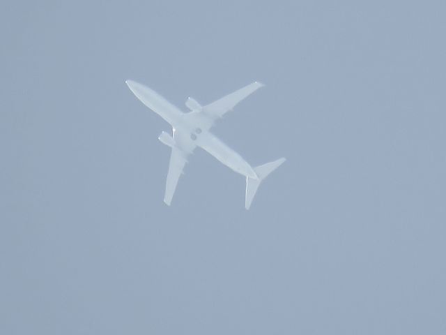 Boeing 737-800 (N984NN)