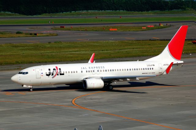 Boeing 737-800 (JA318J) - 2013-07-13