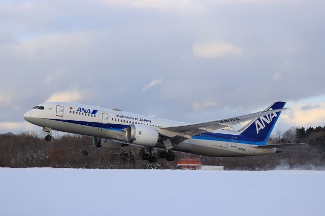 Boeing 787-8 (JA809A) - January 3rd 2021:HKD-HND.