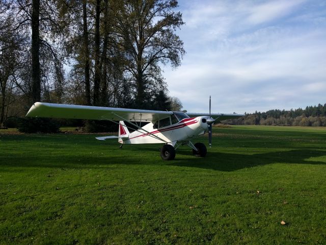 Piper PA-12 Super Cruiser (N3012M)